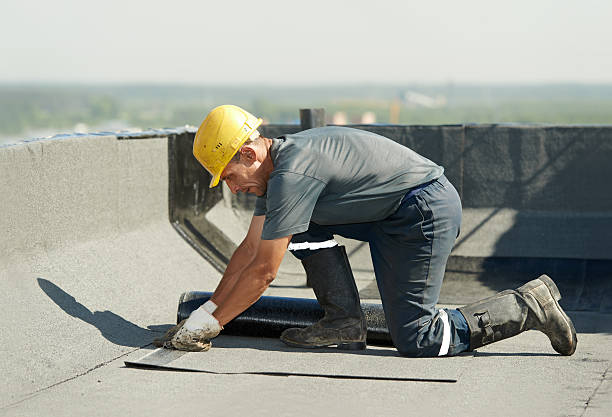 Best Insulation Removal  in Bartlesville, OK